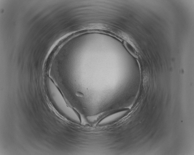 X0000085021116200703051306