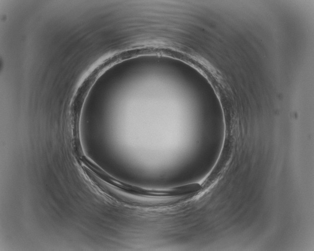 X0000085021118200703051306