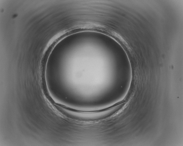 X0000085021122200703051306