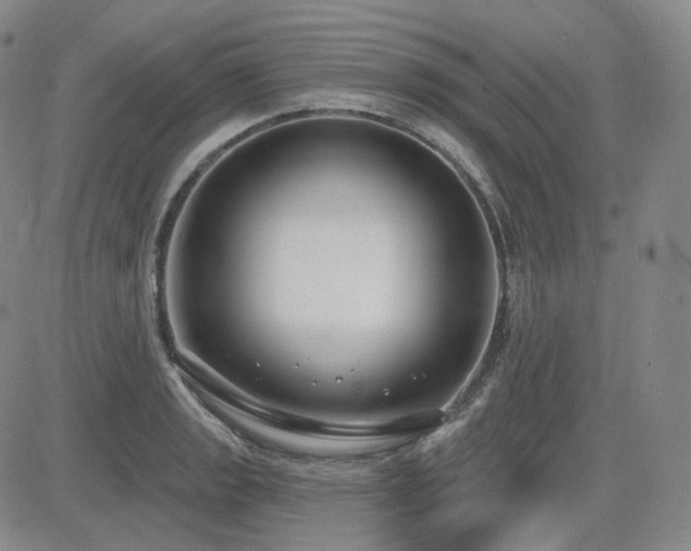 X0000085021133200703051306