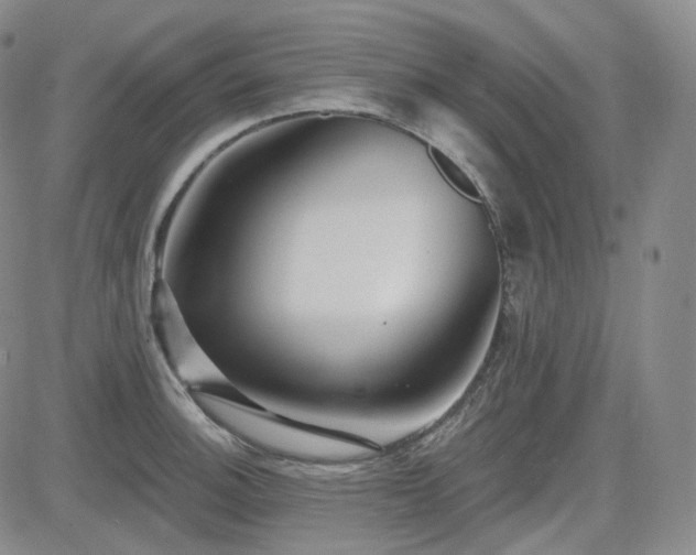X0000085021140200703051306