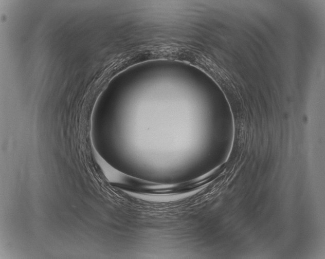 X0000085021153200703051305