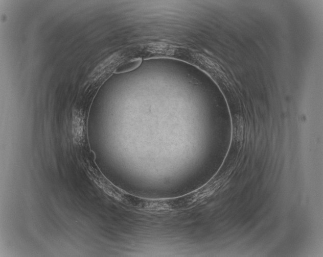 X0000085021154200703051305