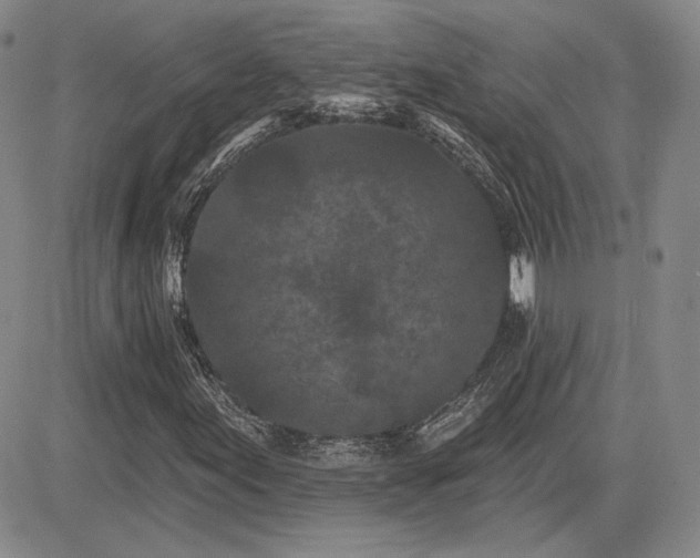 X0000085021155200703051305