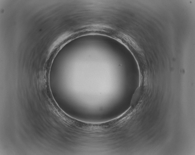 X0000085021164200703051305