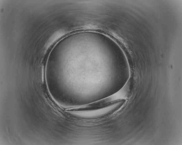X0000085021171200703051305