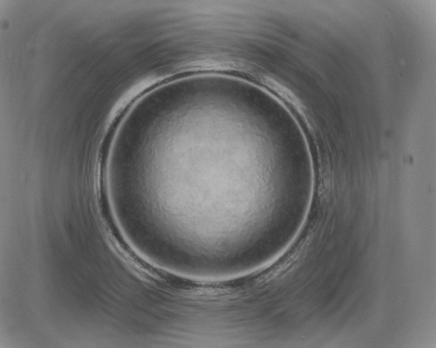 X0000085021179200703051305