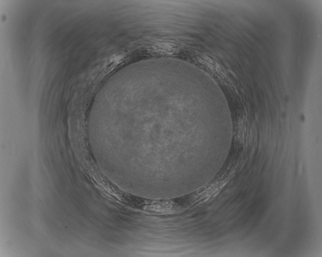 X0000085021201200703051304