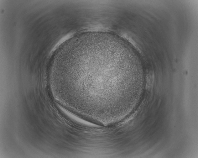 X0000085021213200703051304