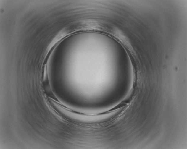 X0000085021234200703051304
