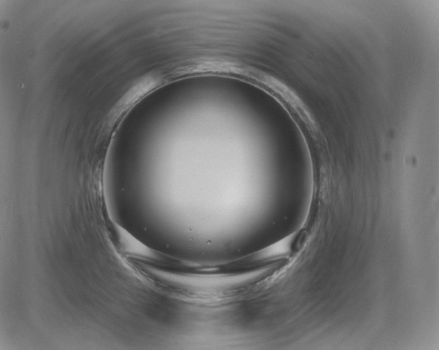 X0000085021241200703051304