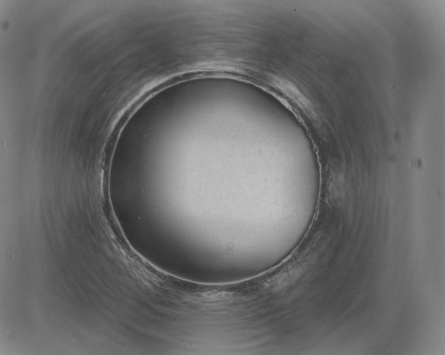 X0000085021268200703051303