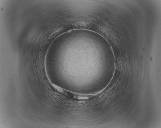 X0000085021297200703051302