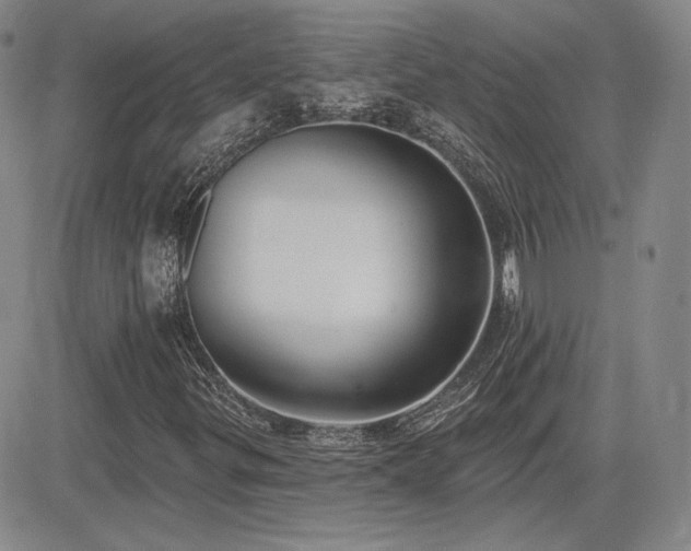 X0000085021299200703051302