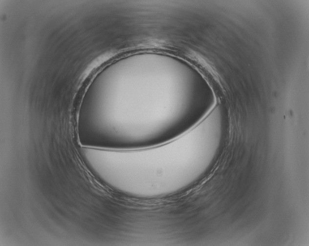X0000085021308200703051302