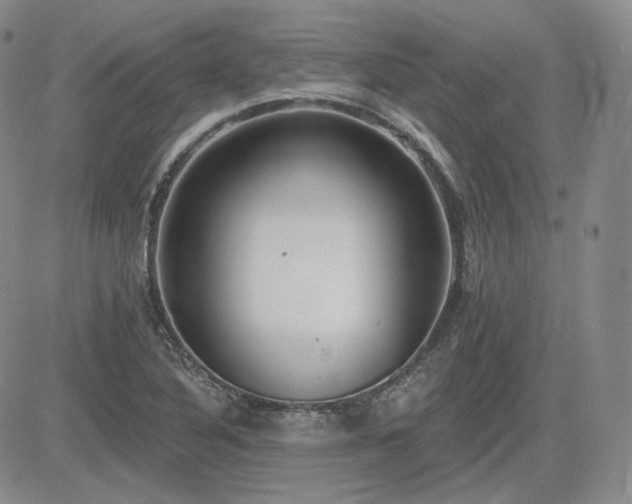 X0000085021316200703051302