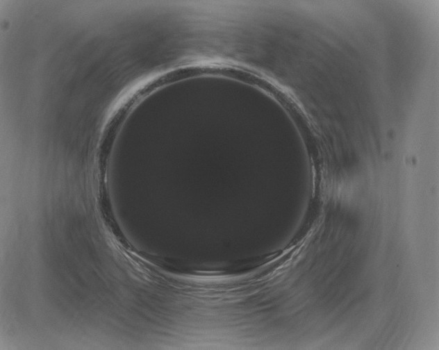 X0000085021319200703051303