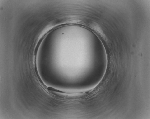X0000085021324200703051303