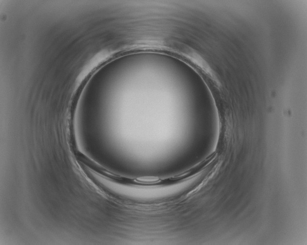 X0000085021325200703051303