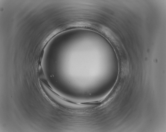 X0000085021329200703051303