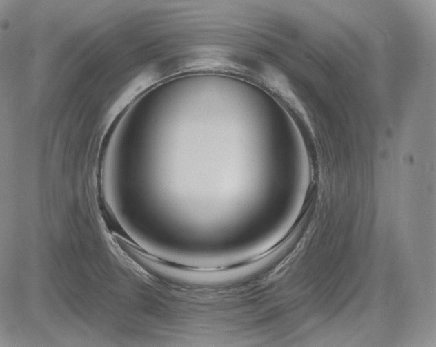 X0000085021330200703051303