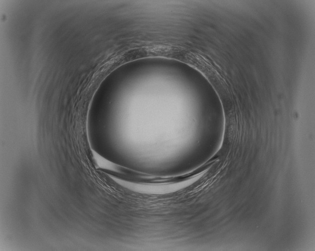 X0000085021345200703051302