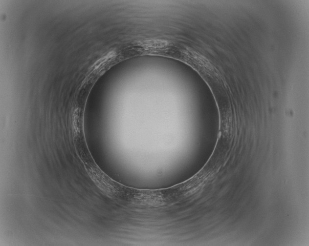 X0000085021346200703051302