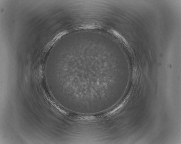 X0000085021353200703051302