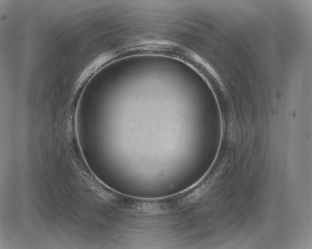 X0000085021362200703051302