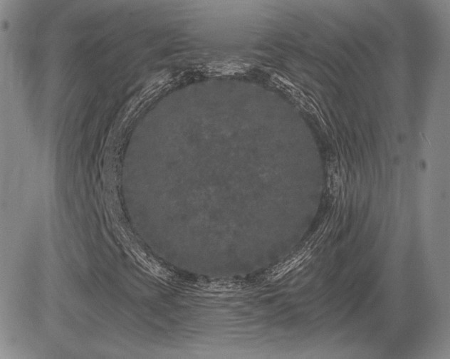 X0000085021393200703051301