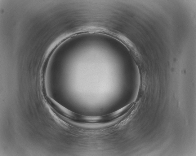 X0000085021430200703051301