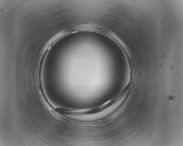 X0000085021434200703051301