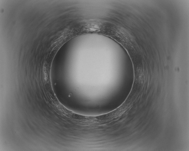 X0000085021442200703051301