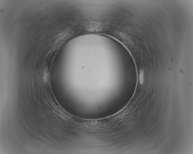 X0000085021444200703051300