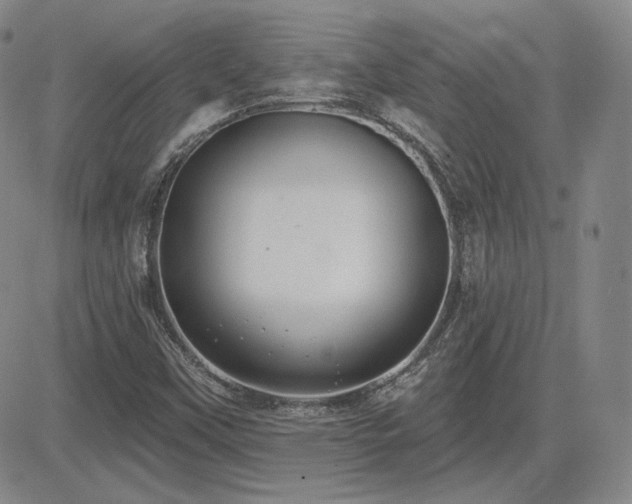 X0000085021451200703051300