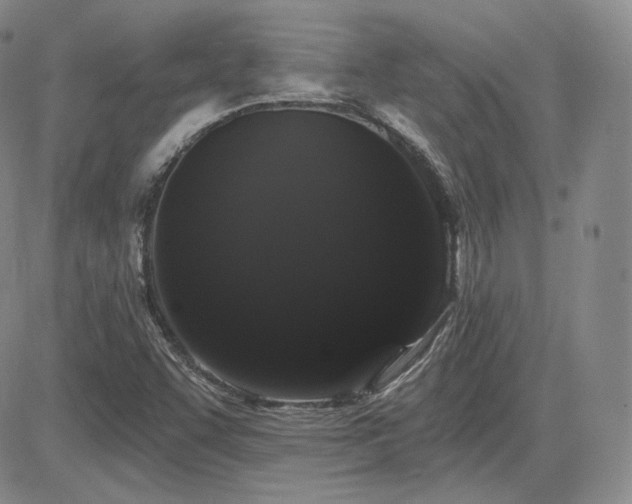 X0000085021455200703051300