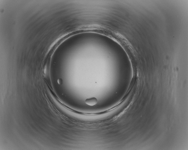 X0000085021457200703051300