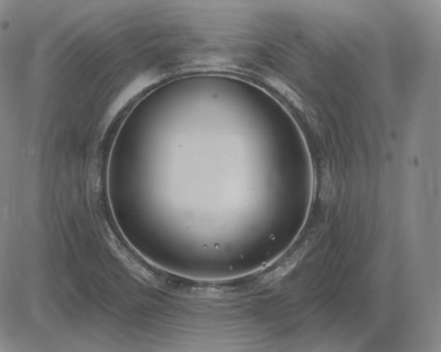 X0000085021458200703051300