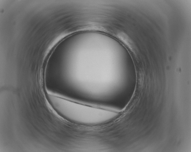 X0000085021468200703051300