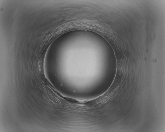 X0000085021490200703051259