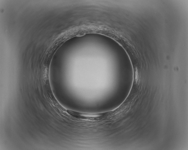 X0000085021492200703051259