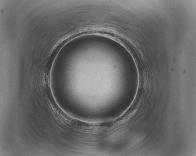 X0000085021497200703051259