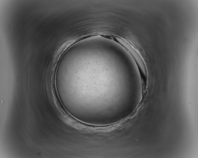 X0000085020001200703121552