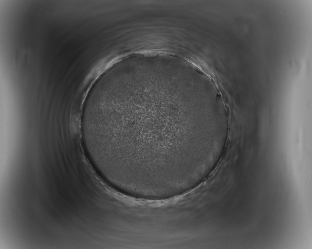 X0000085020002200703121552
