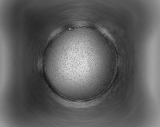 X0000085020010200703121552