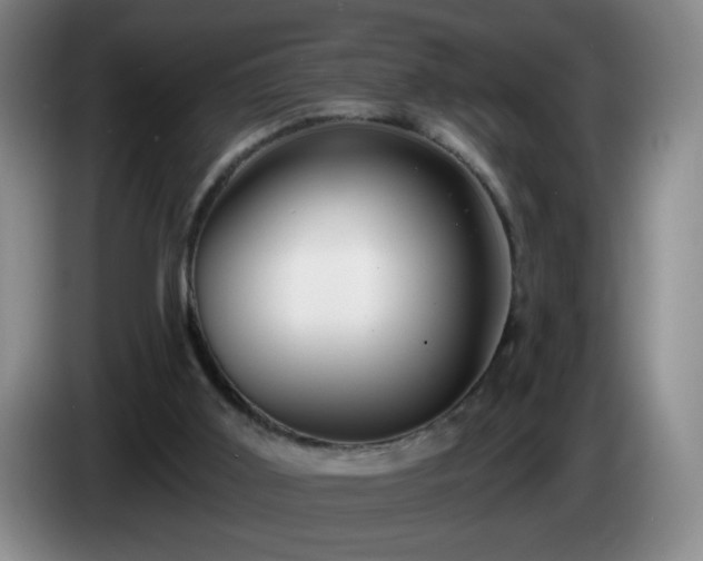 X0000085020011200703121552