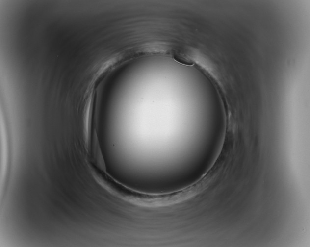 X0000085020013200703121552