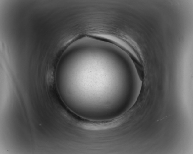 X0000085020017200703121552