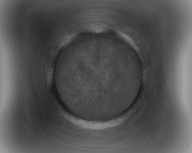 X0000085020018200703121552