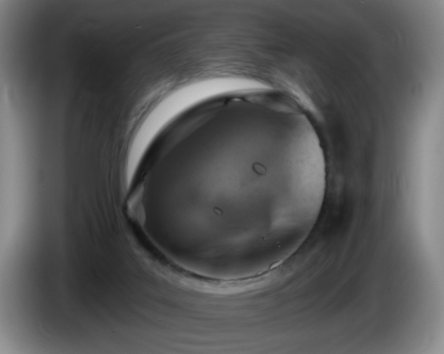 X0000085020019200703121552